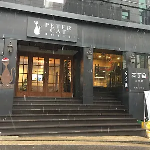 피터캣 신촌 *** 서울특별시